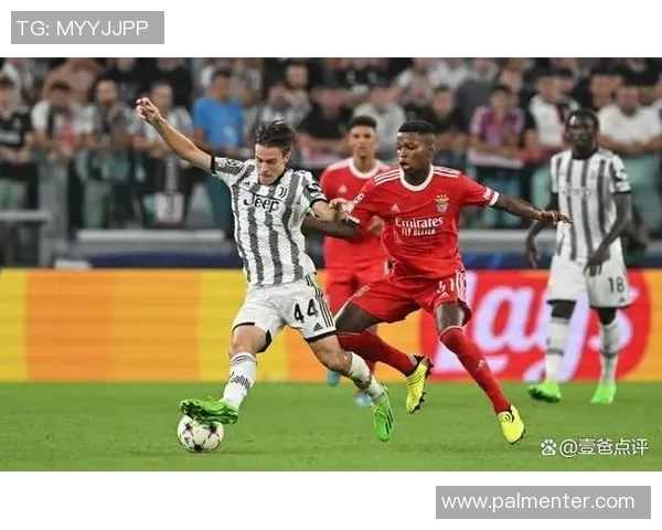 欧冠与世界杯的较量：足球世界的巅峰对决与荣耀之路